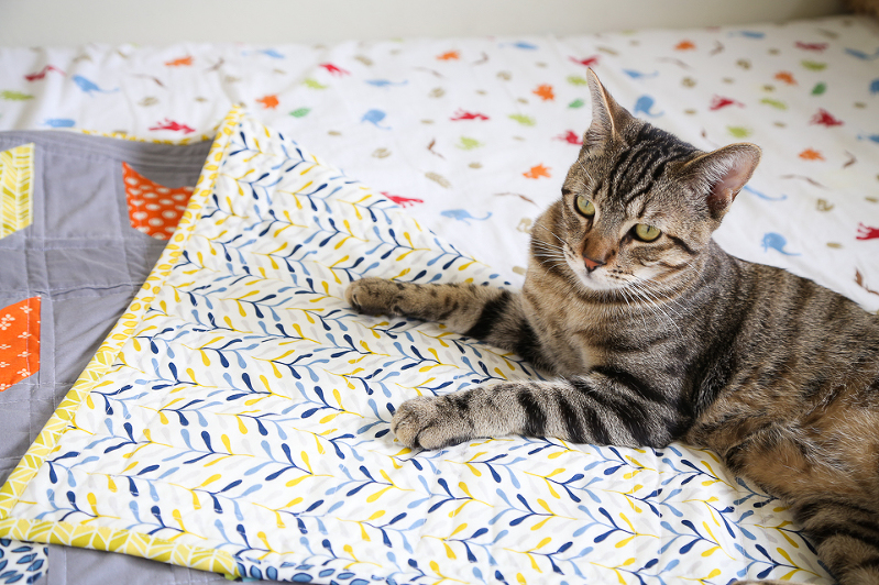 Cat Face Quilt, cats on quilts, quilts with cats, quilting with cats, kitty quilts, cloud nine fabrics, modern quilts, quilts for boys, quilts for kids