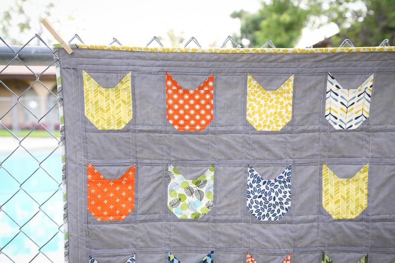 Cat Face Quilt, cats on quilts, quilts with cats, quilting with cats, kitty quilts, cloud nine fabrics, modern quilts, quilts for boys, quilts for kids, scrappy binding quilts