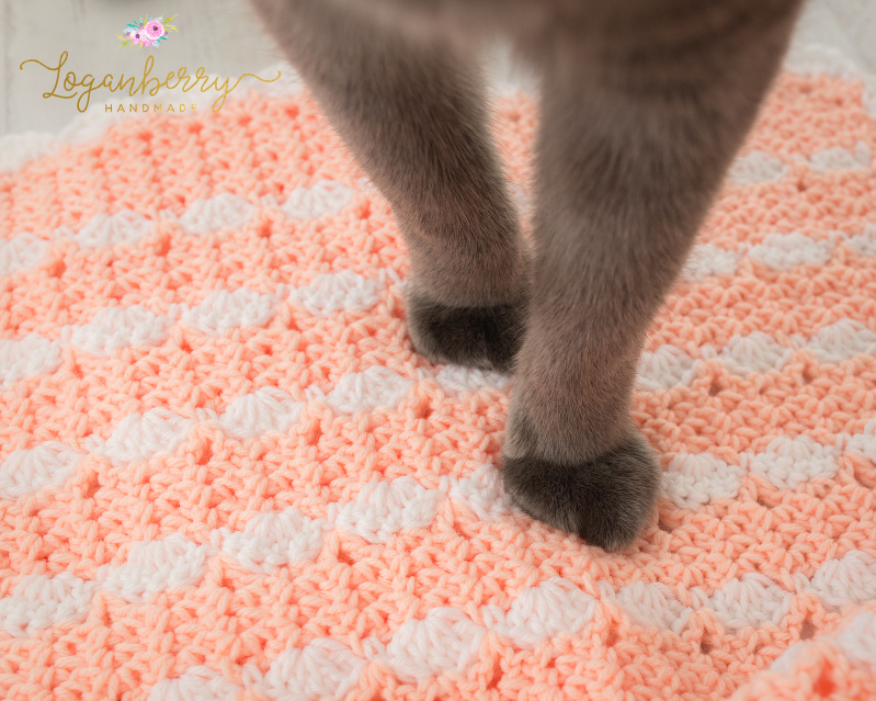 cats and blankets, cat on a blanket, peaches and cream crochet baby blanket, baby blanket crochet pattern, crochet baby blanket tutorial, free crochet pattern, how to crochet a baby blanket, crochet blanket with scallop trim, scallop edge crochet blanket, peach blanket, pink and white blanket
