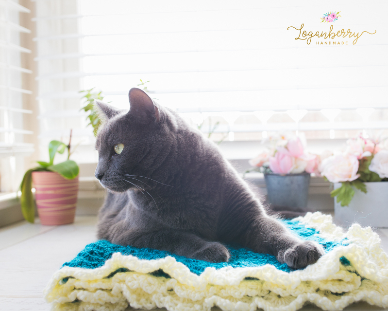 Antique Charm Crochet Blanket + Free Pattern + Tutorial, Crochet Baby Blanket Pattern, Crochet Shell Stitch Blanket Pattern, Fantail Pattern, Lace Trim Blanket Pattern, Lace Border, Victorian Style Baby Blanket, Teal Blue Blanket
