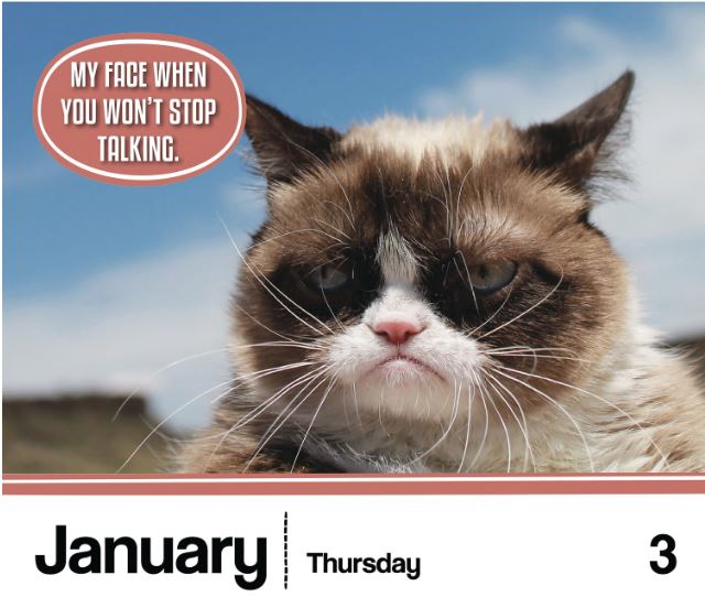 grumpy-cat-calendar-loganberry-handmade