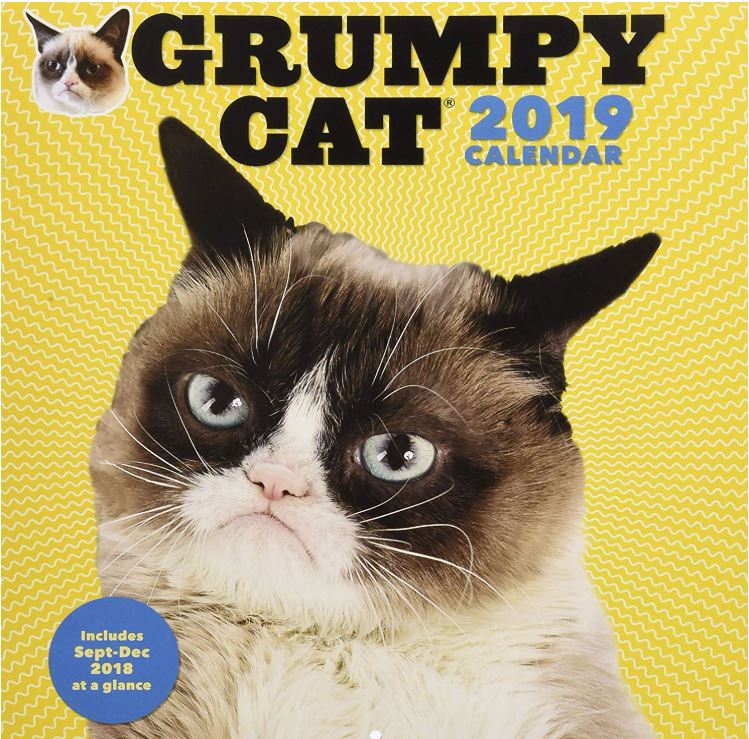 so-my-grumpy-cat-calendar-knew-what-the-future-would-bring-nevertellmetheodds