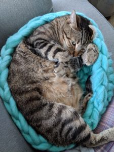 Chunky Yarn Cat Bed, Free Crochet Pattern, Jumbo Yarn, Tutorial, Pet Bed, Dog Bed, DIY, Handmade