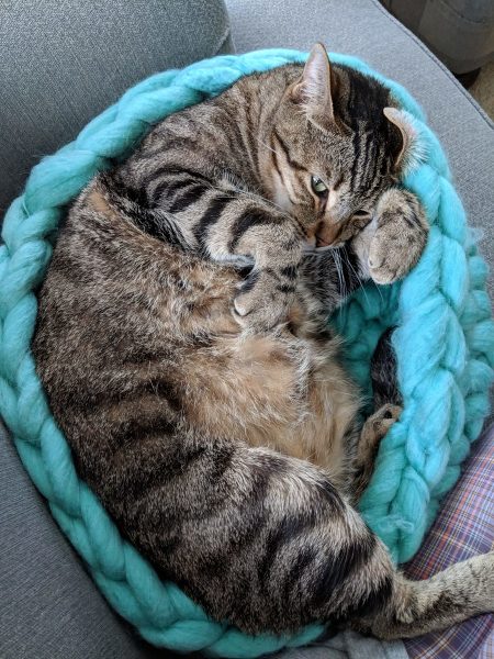 Chunky crochet cat clearance bed